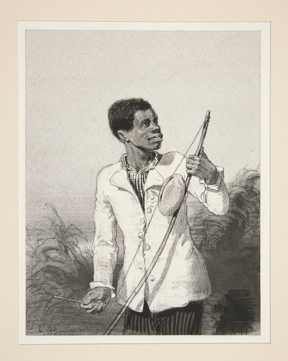 Der Bobre von der Insel Mauritius von Paul Gavarni