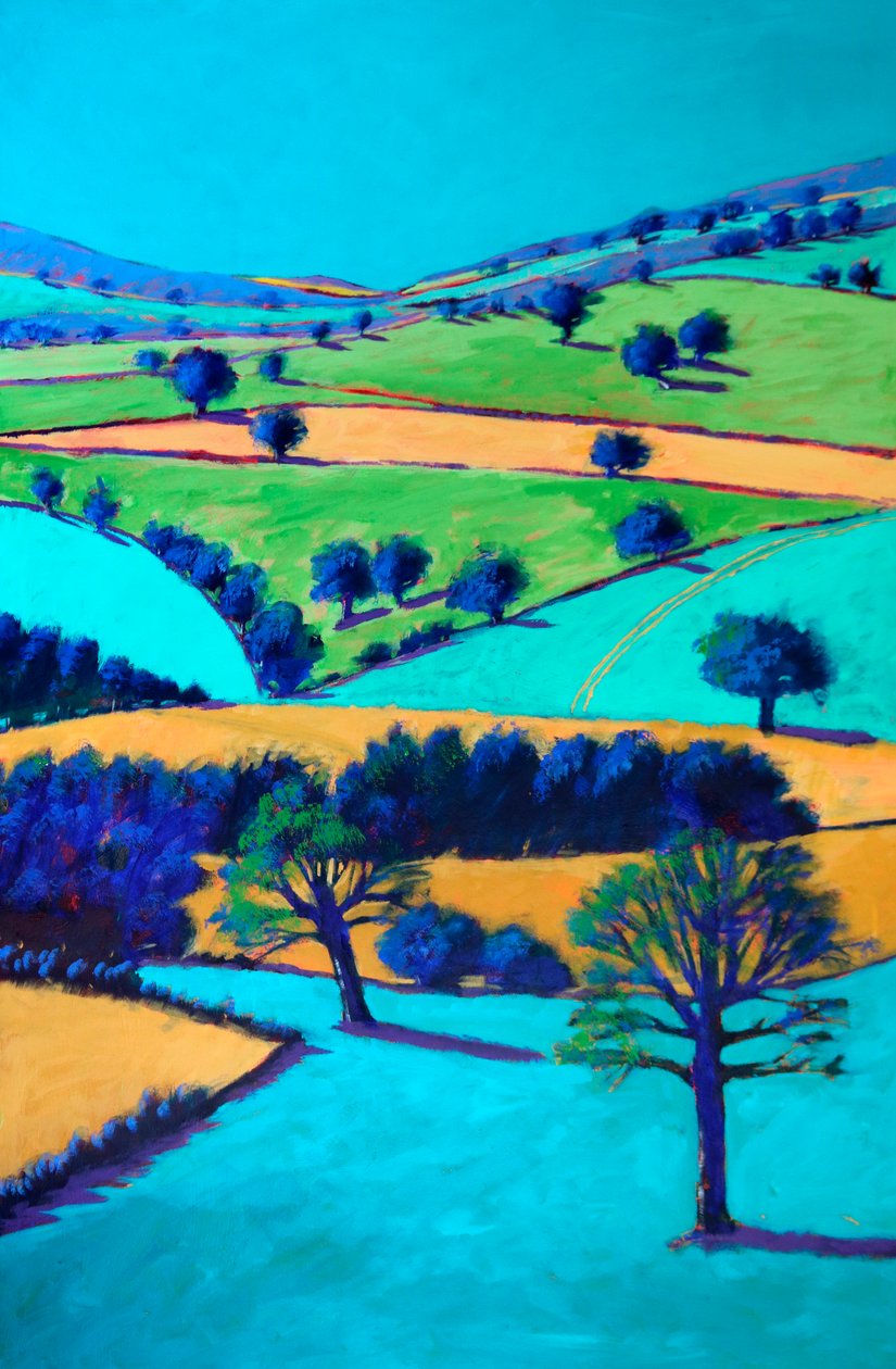Cotswold-Tal, 2024 von Paul Powis