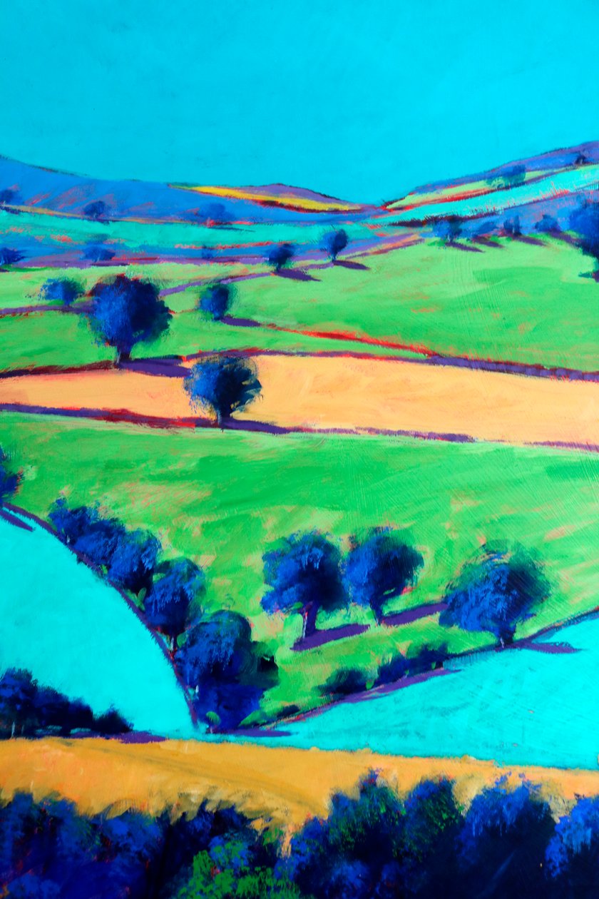 Cotswold-Tal #2 (Detail), 2024 von Paul Powis