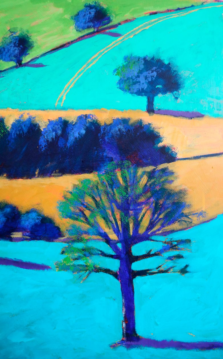 Cotswold-Tal #3 (Detail) von Paul Powis