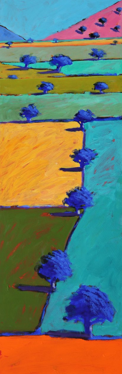 Schweinehof Sommer von Paul Powis