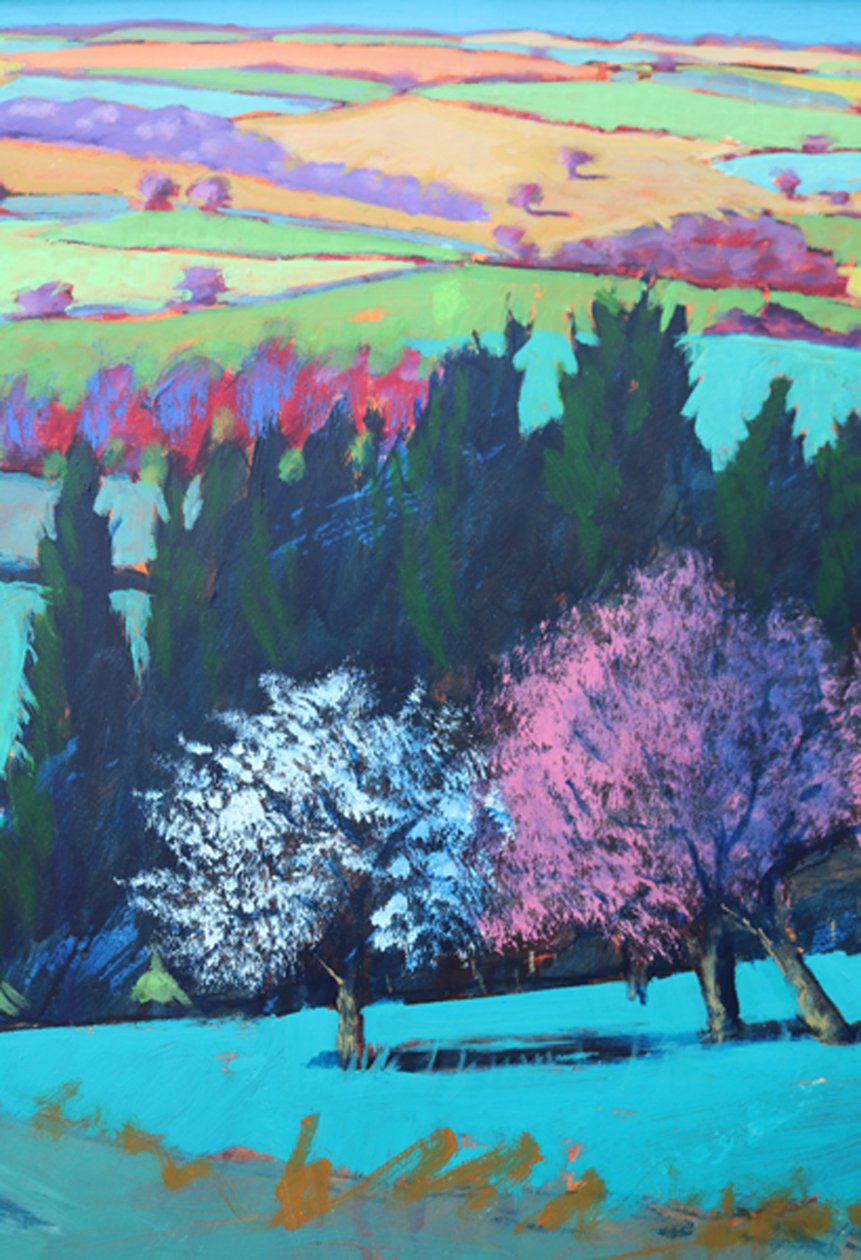 Teme Valley April (Detail 1) von Paul Powis