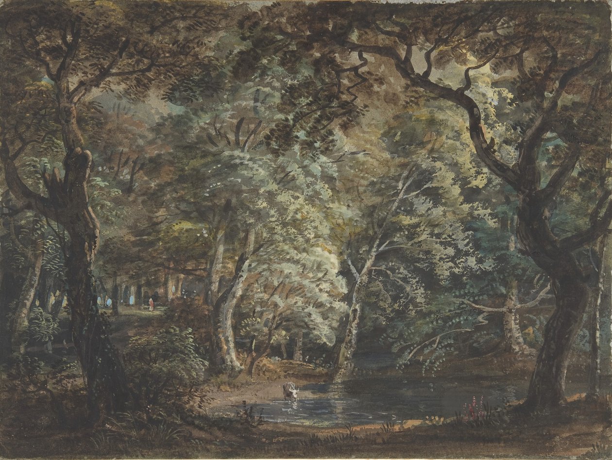 Windsor Great Park, 1790-99 von Paul Sandby
