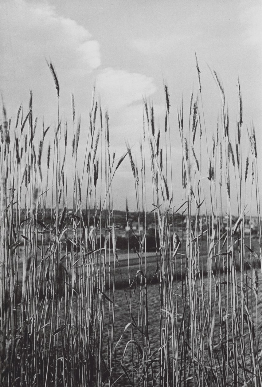 In der bayerischen Landschaft von Paul Wolff