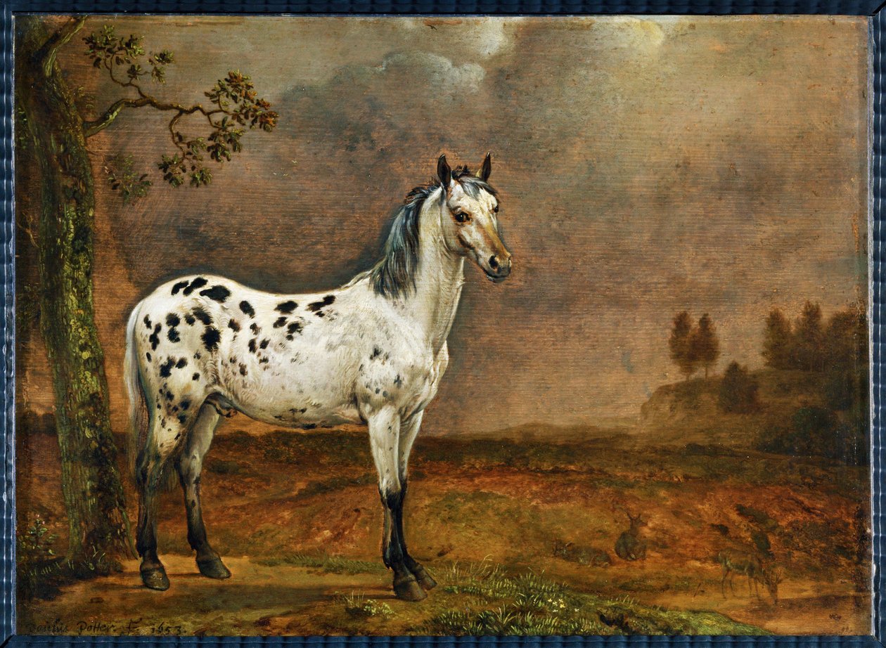 Das gescheckte Pferd von Paulus (attr.to) Potter