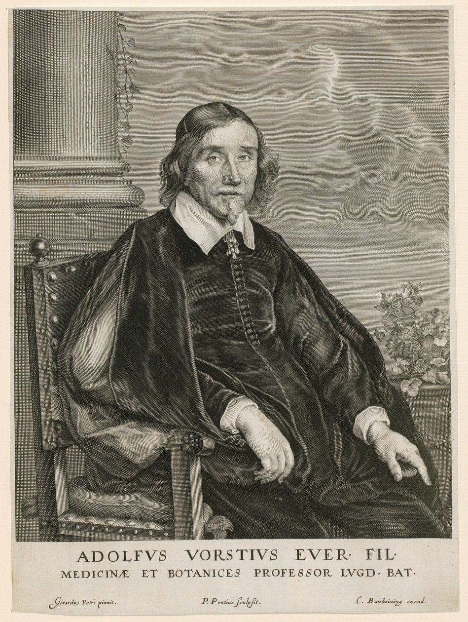 Porträt von Adolph Vorst, Professor in Leiden von Paulus Pontius
