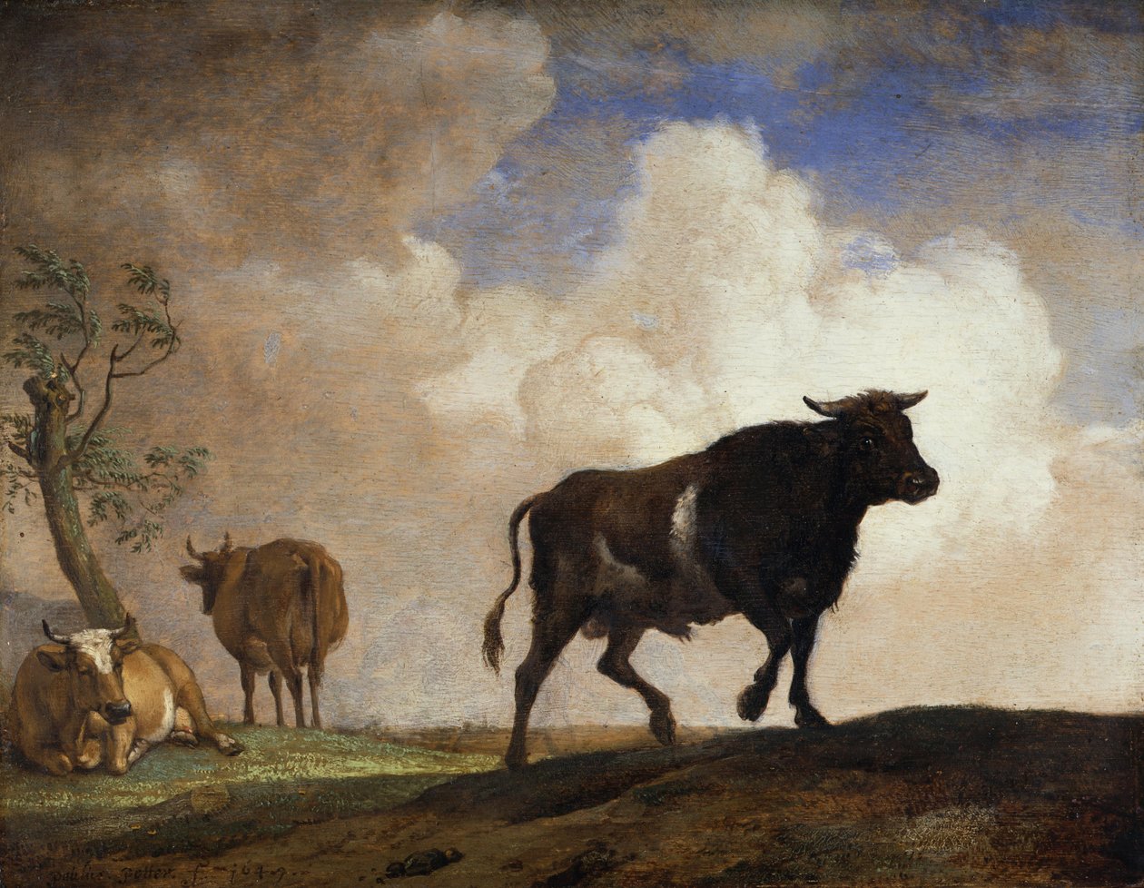 Der Stier von Paulus Potter