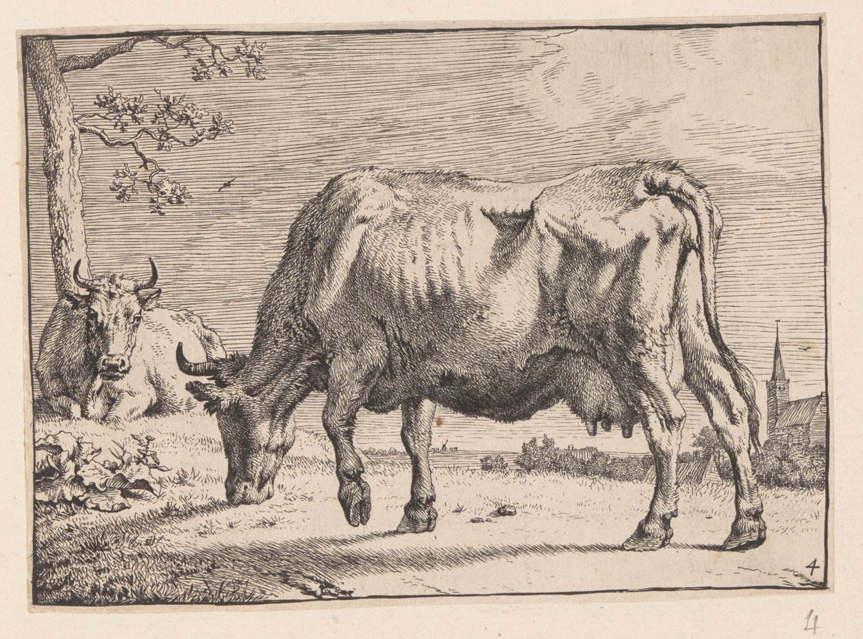 Die weidende Kuh, aus Verschiedene Ochsen und Kühe von Paulus Potter