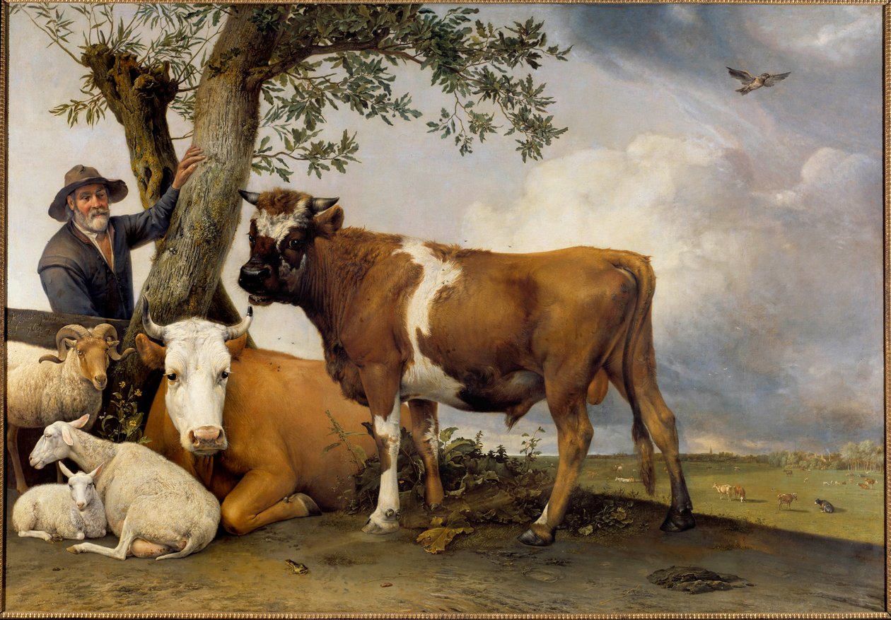 Der junge Stier von Paulus Potter