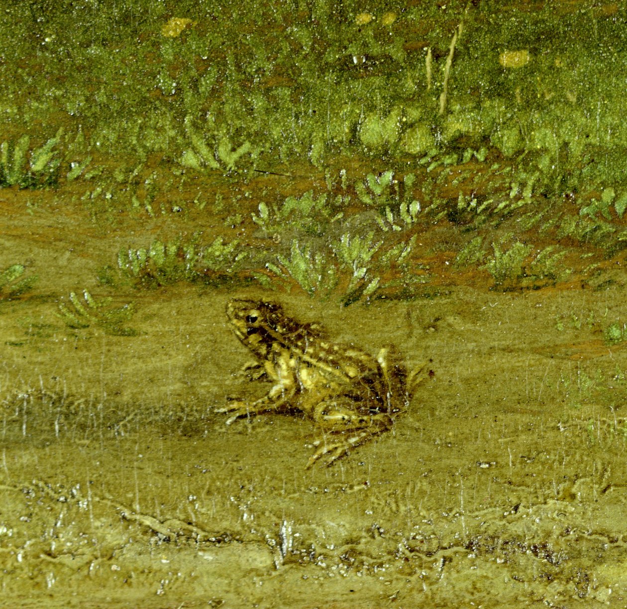 Kröte, Detail eines Landsmanns mit seiner Herde, 1648 von Paulus Potter