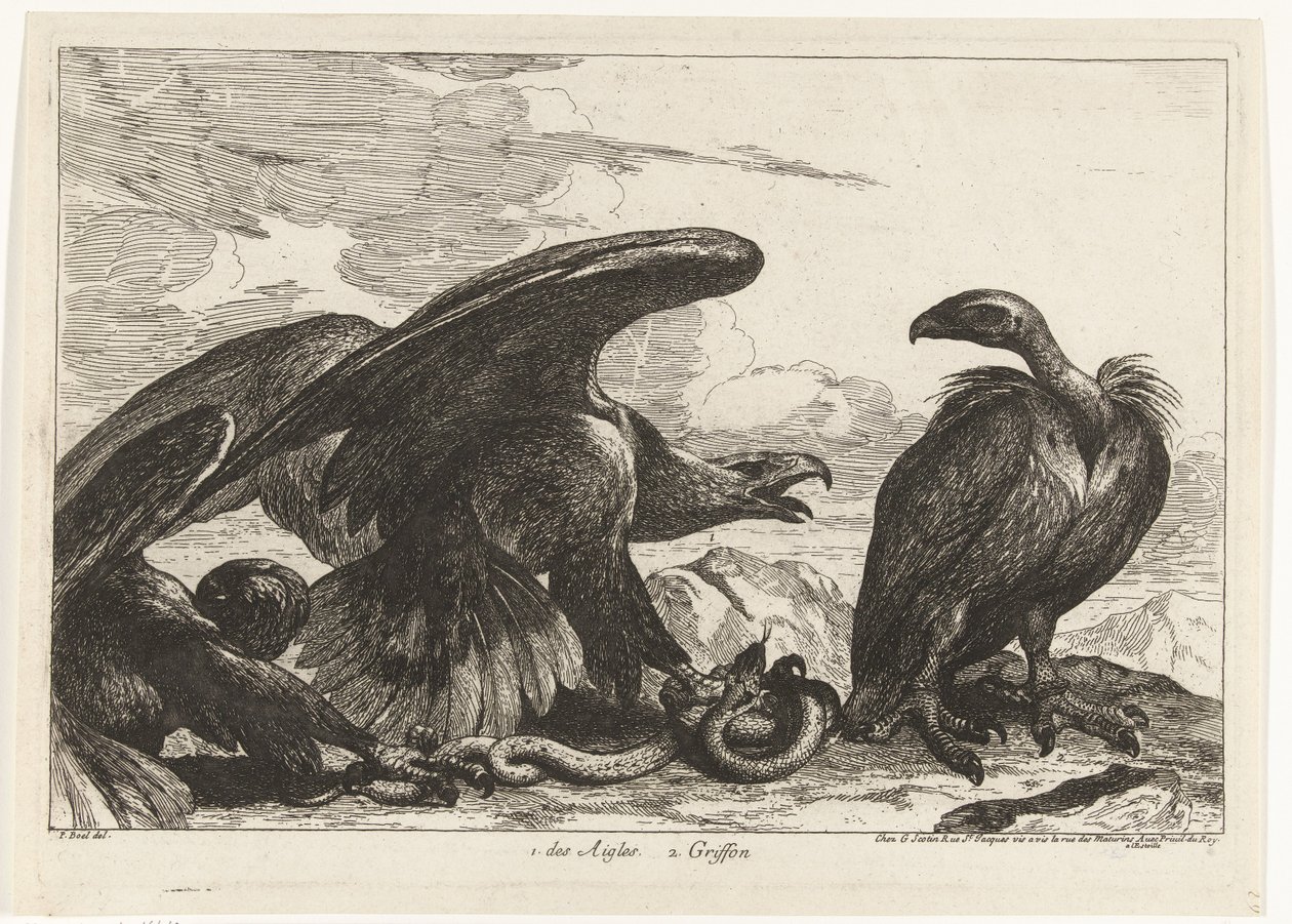 Geier und ein Adler mit Schlange von Peeter Boel (attributed to)