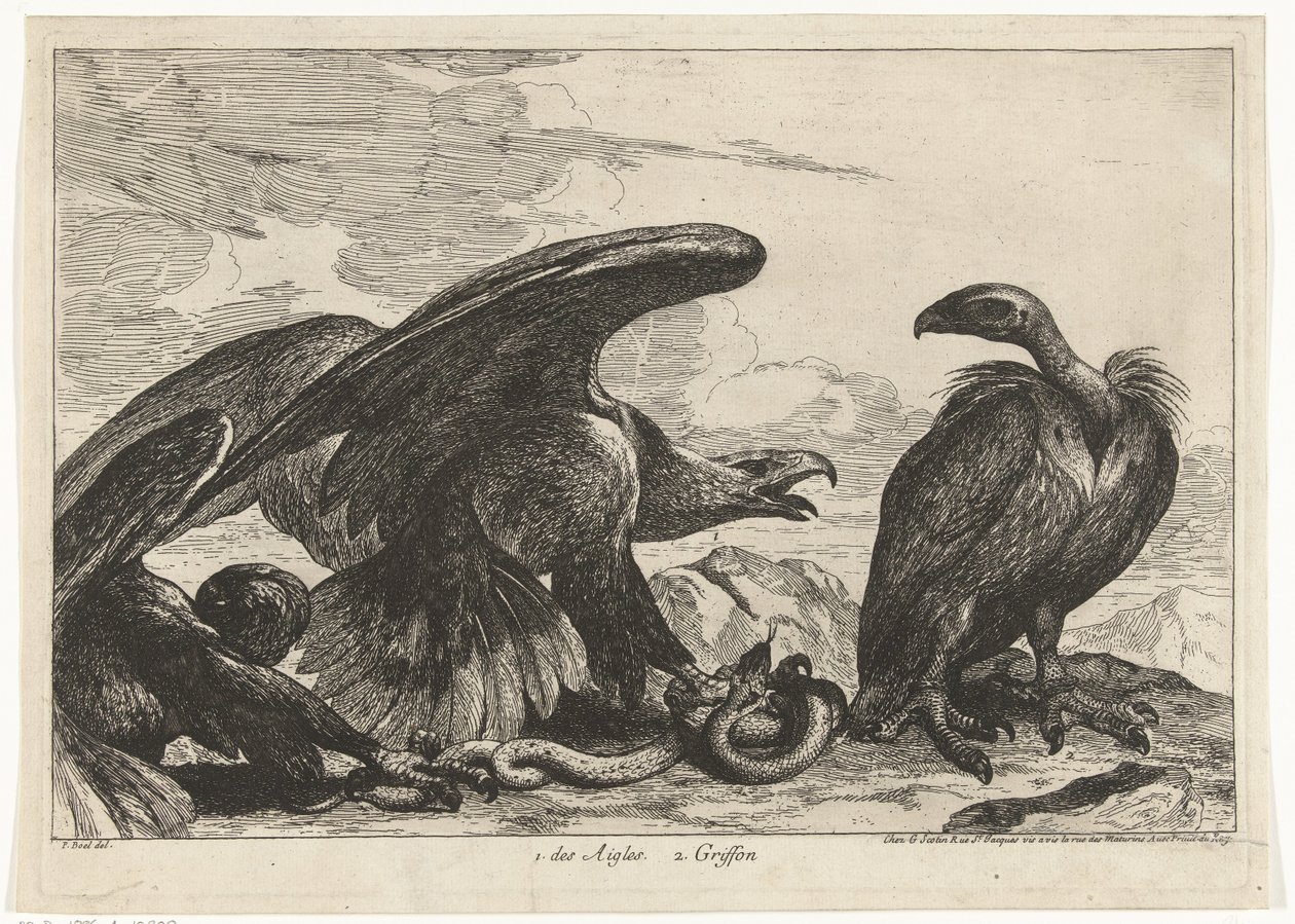 Geier und ein Adler mit Schlange von Peeter Boel (attributed to)