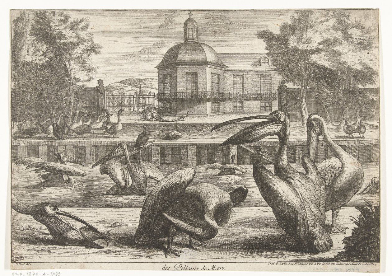 Pelikanen von Peeter Boel (attributed to)