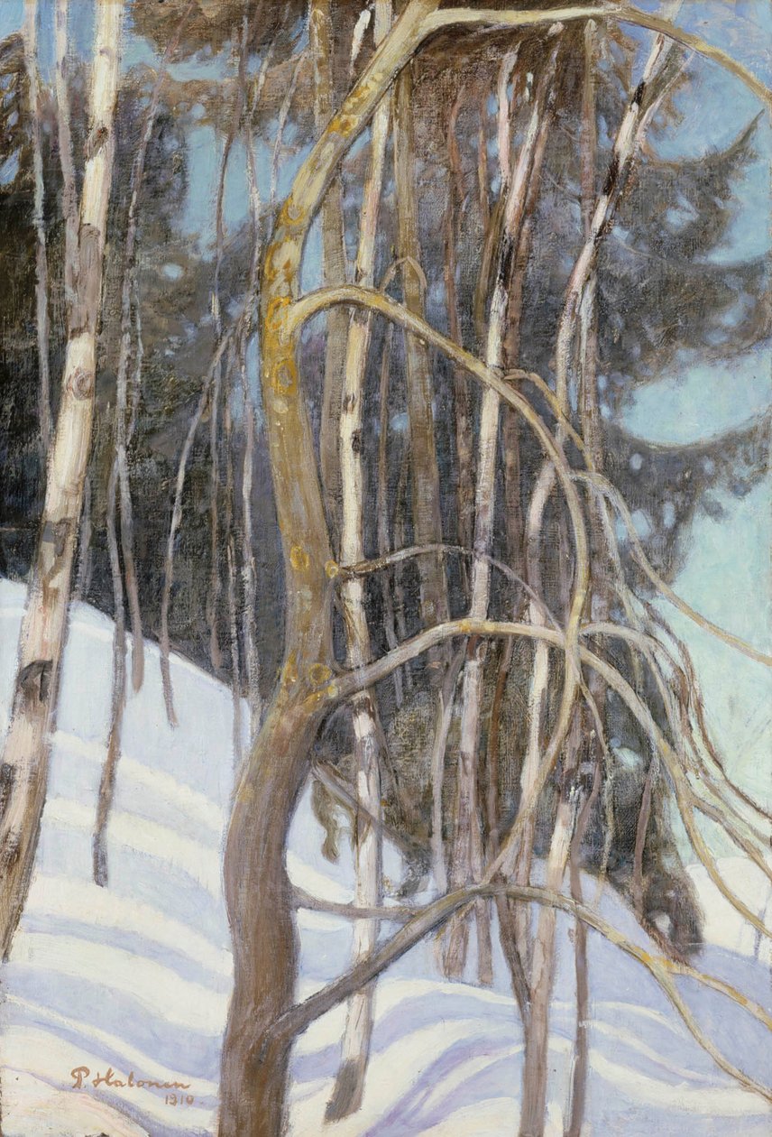 Märztag von Pekka Halonen