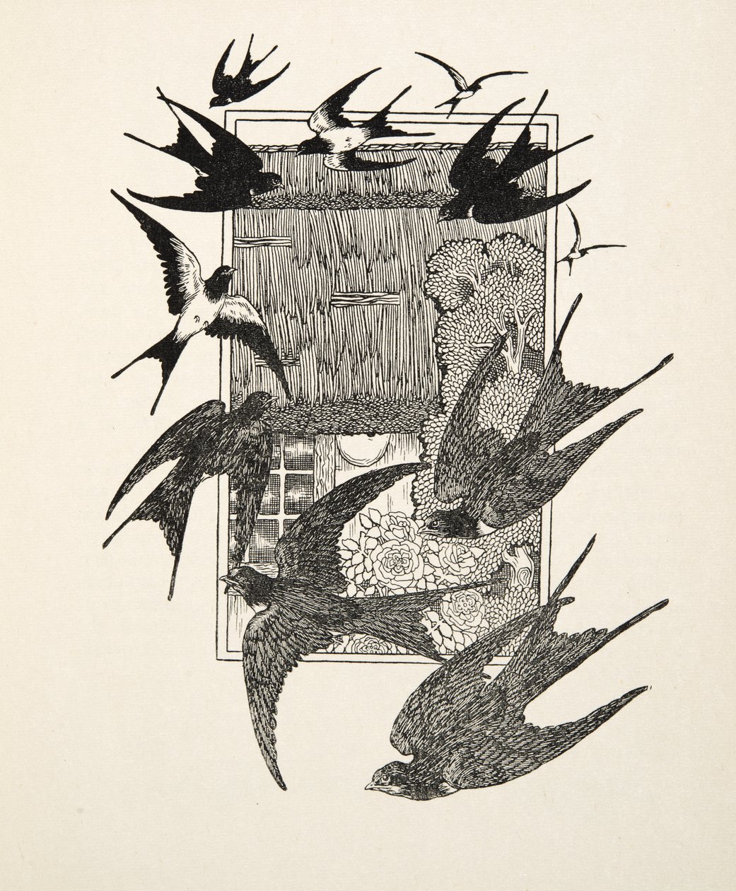Ein bestrafter Usurpator, aus Hundert Anekdoten über Tiere, veröffentlicht 1924 von Percy J. Billingshurst