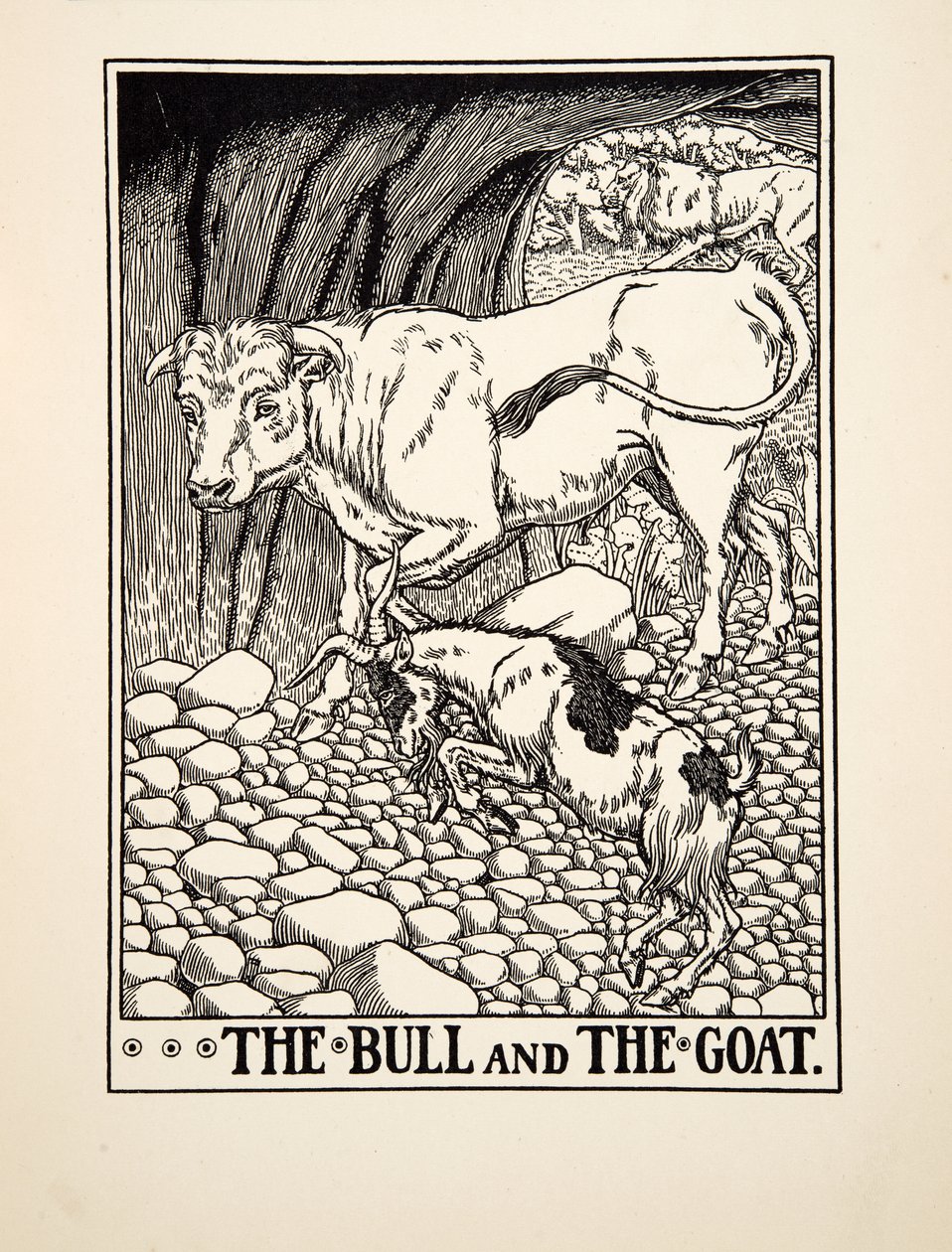 Der Stier und die Ziege, aus Hundert Fabeln von Äsop, veröffentlicht 1903 (Gravur) von Percy J. Billingshurst