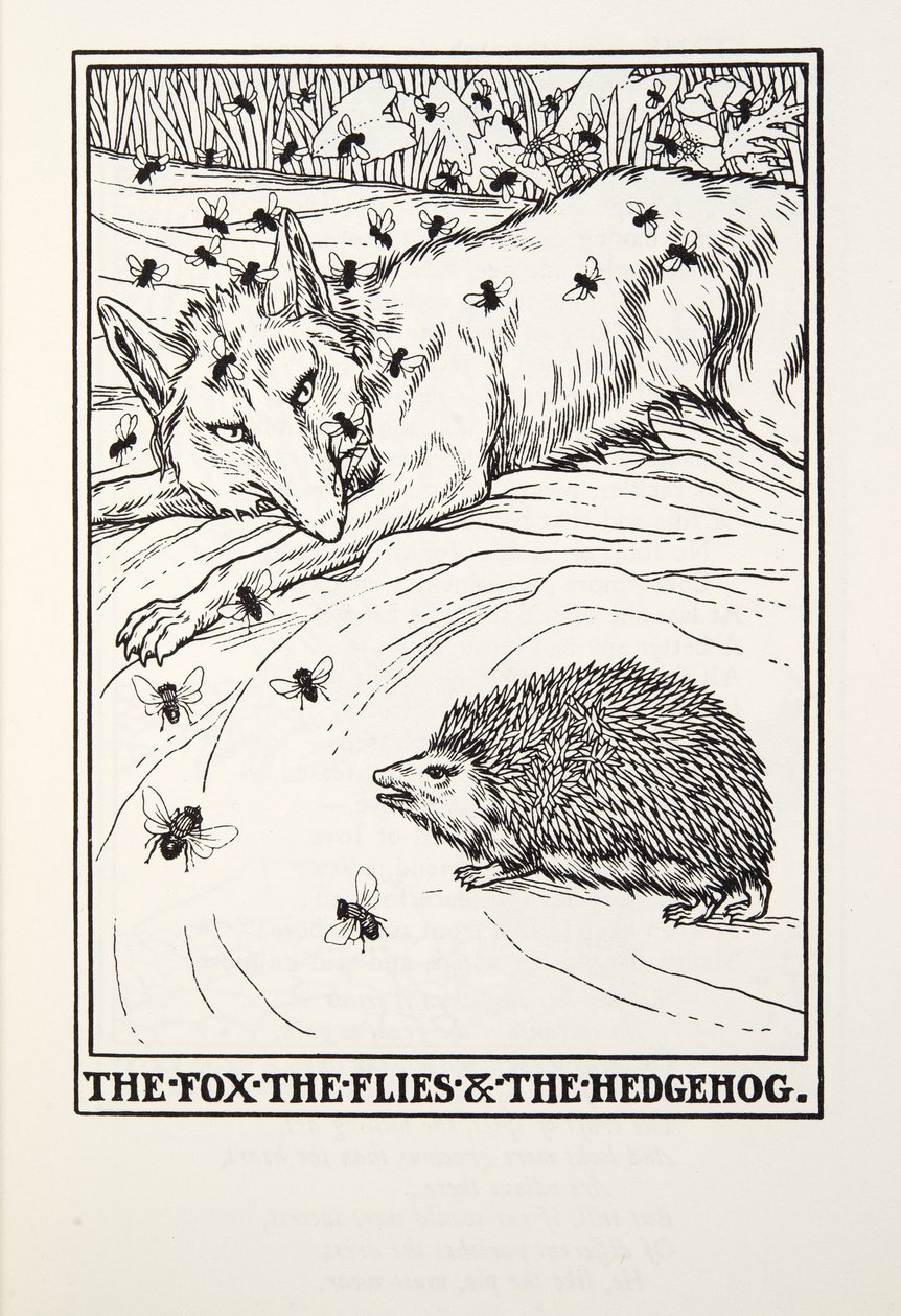 Der Fuchs, die Fliegen und der Igel, aus Fontaine Fabeln, veröffentlicht 1905 von Percy J. Billingshurst