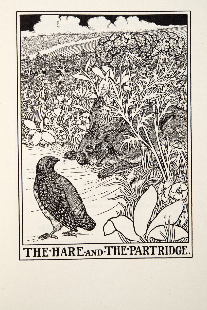 Der Hase und das Rebhuhn, aus Fontaine Fables, veröffentlicht 1905 von Percy J. Billingshurst