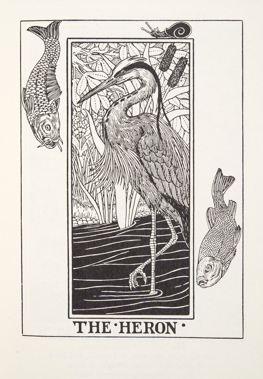 Der Reiher, aus Fontaine Fabeln, veröffentlicht 1905 von Percy J. Billingshurst