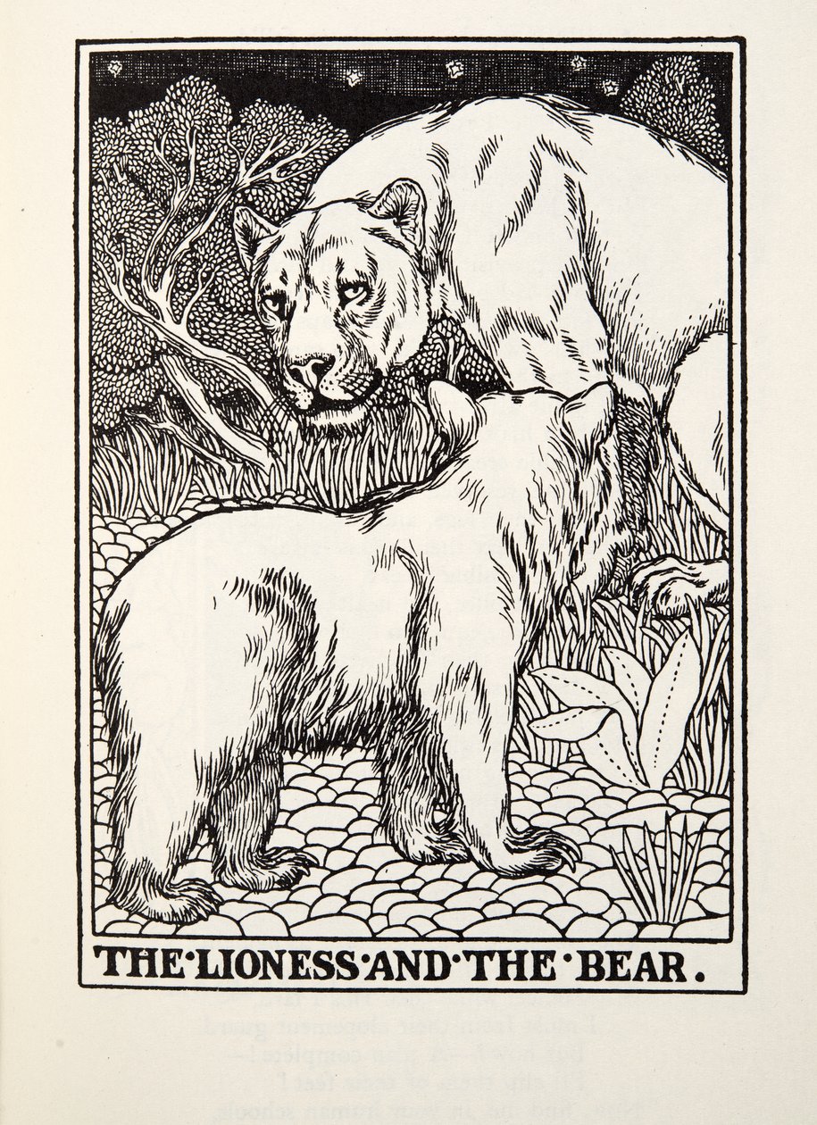 Die Löwin und der Bär, aus Fontaine Fabeln, veröffentlicht 1905 von Percy J. Billingshurst
