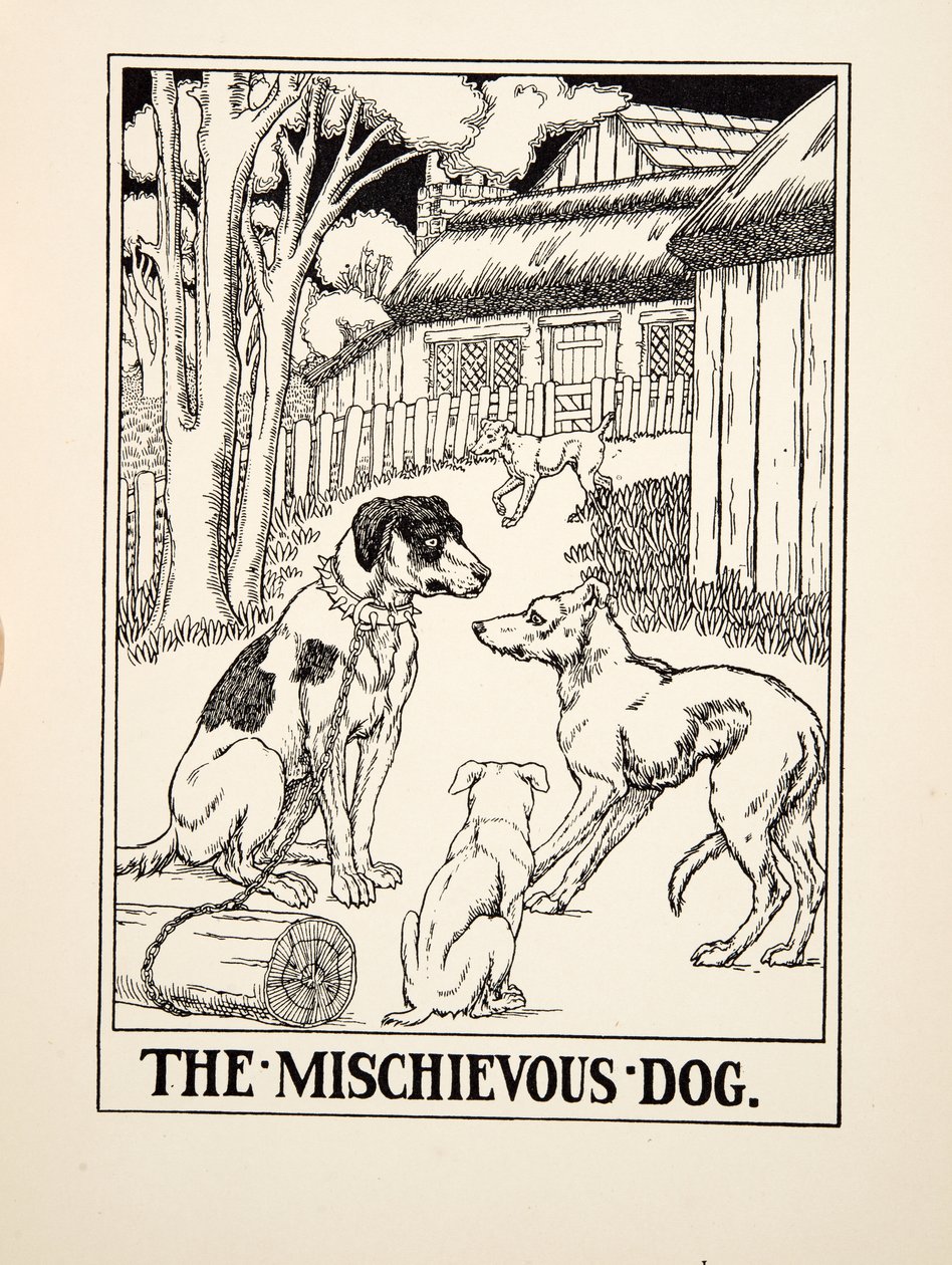 Der schelmische Hund, aus Hundert Fabeln von Äsop, veröffentlicht 1903 (Gravur) von Percy J. Billingshurst