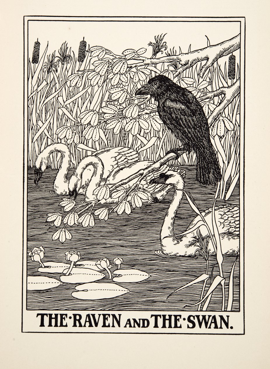 Der Rabe und der Schwan, aus Hundert Fabeln von Aesop, veröffentlicht 1903 von Percy J. Billingshurst