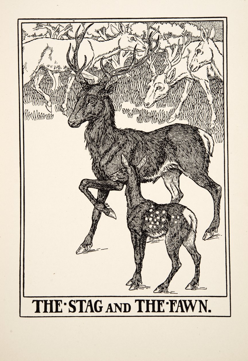 Der Hirsch und das Rehkitz, aus Hundert Fabeln von Äsop, veröffentlicht 1903 von Percy J. Billingshurst
