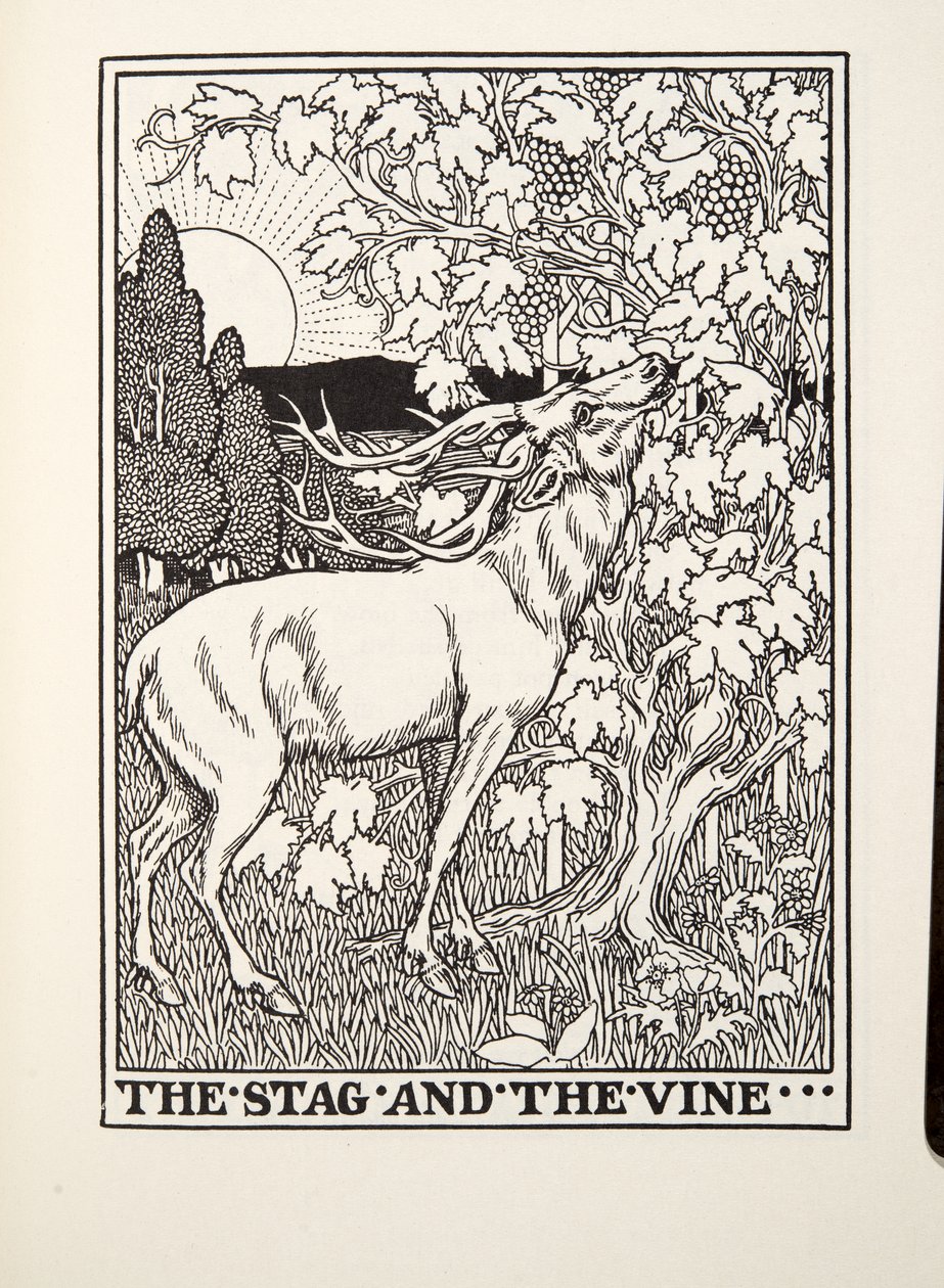 Der Hirsch und die Rebe, aus Fontaine Fabeln, veröffentlicht 1905 von Percy J. Billingshurst