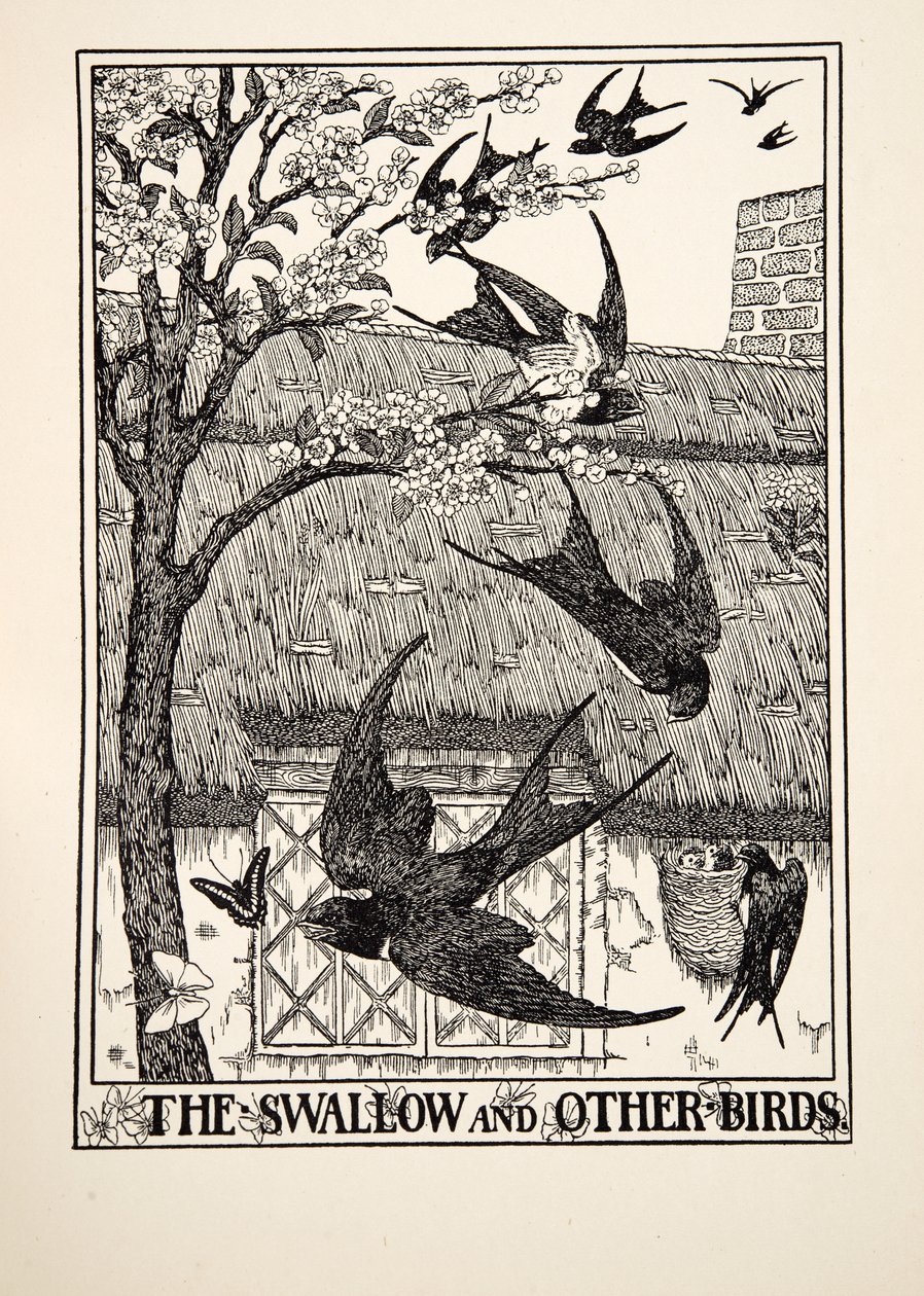 Die Schwalbe und andere Vögel, aus Hundert Fabeln von Äsop, veröffentlicht 1903 von Percy J. Billingshurst
