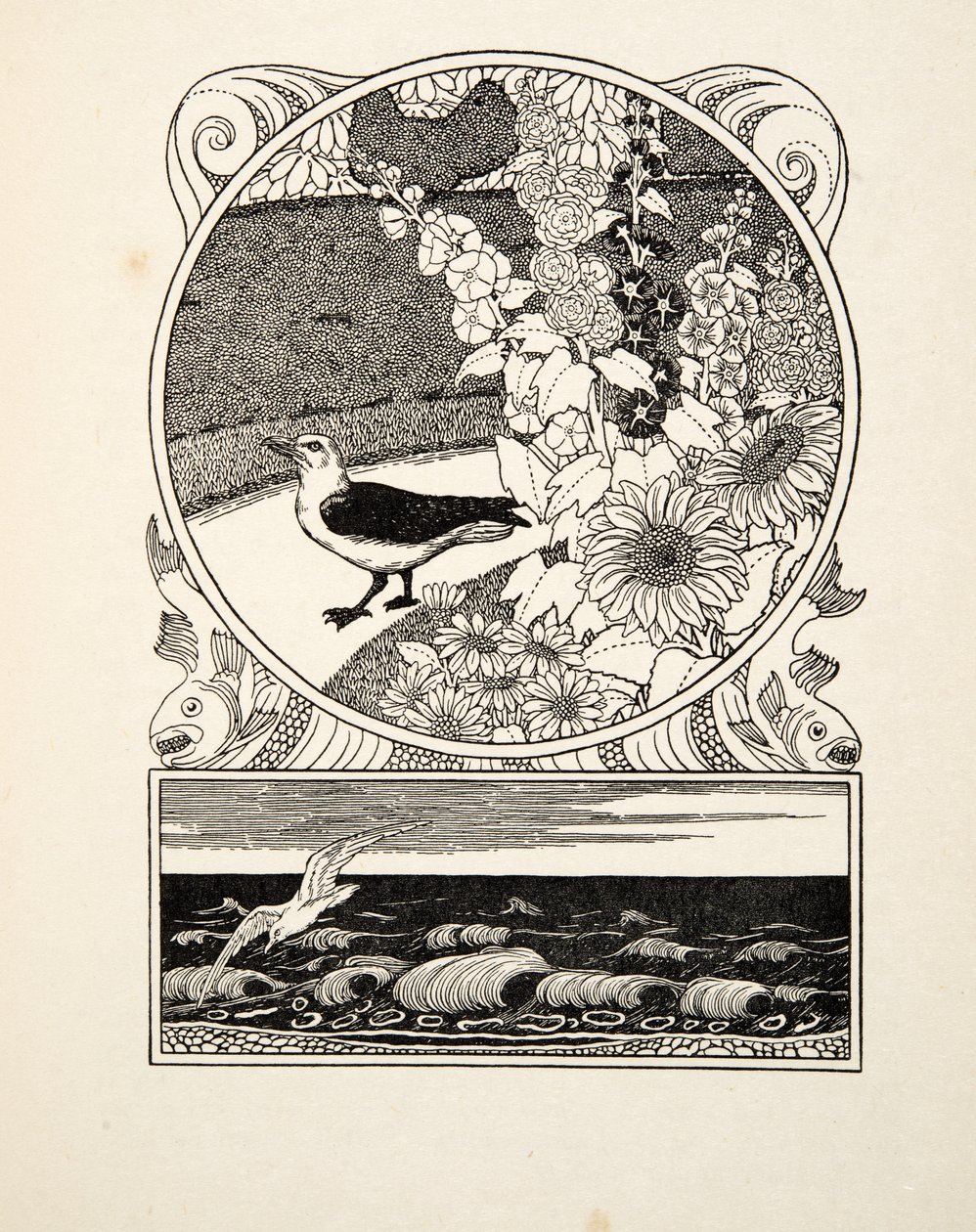 Die zahme Möwe, aus Hundert Anekdoten von Tieren, veröffentlicht 1924 (Gravur) von Percy J. Billingshurst
