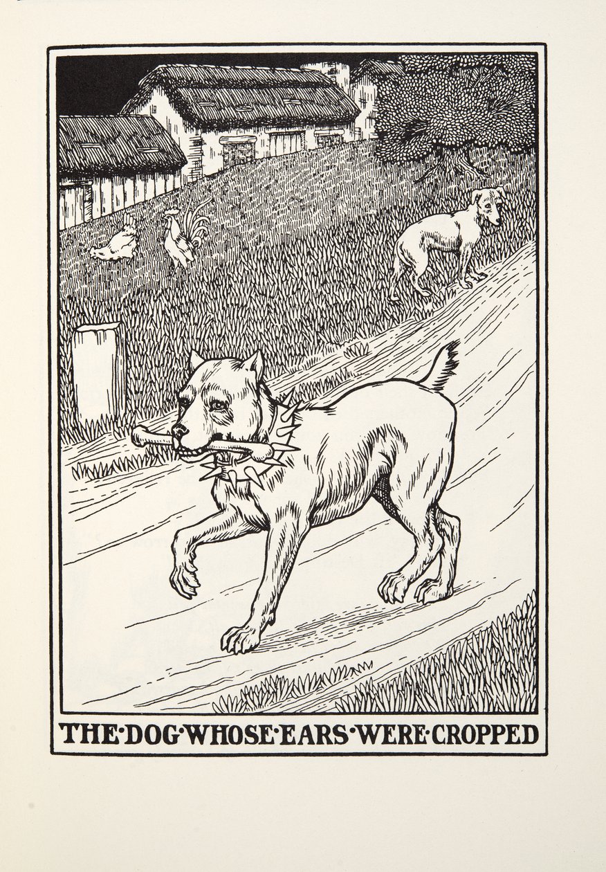Der Hund mit den gestutzten Ohren, aus Fontaine Fabeln, veröffentlicht 1905 von Percy J. Billingshurst