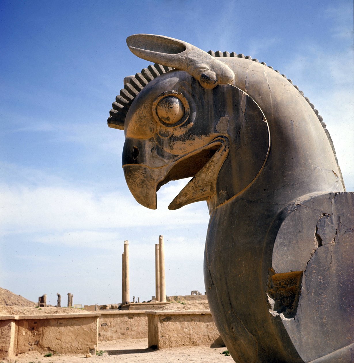Ein Greif, legendäre Kreatur halb Adler, halb Löwe. Säule der Apadana, großer Gerichtssaal, gekrönt von diesen Kapitellen, Palast von Darius I., Persepolis, Iran. von Persian School
