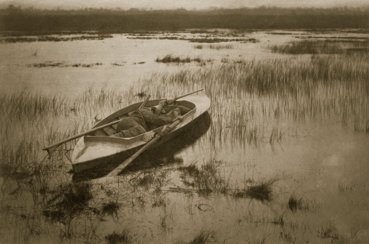 Schütze weckt das Geflügel, Leben und Landschaft auf den Norfolk Broads, um 1886 von Peter Emerson und Thomas Goodall