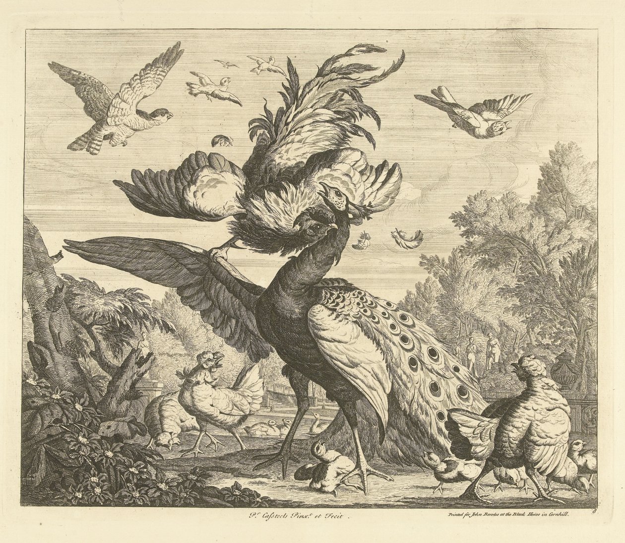 Hahn greift einen Pfau an (Verschiedene Vögel) von Peter Casteels (III)
