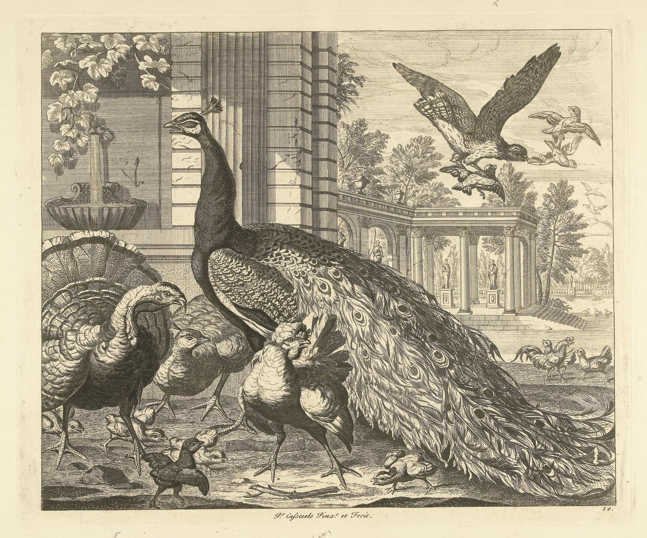 Pfau und Truthahn bei einer Gartenkolonnade (Verschiedene Vögel) von Peter Casteels (III)