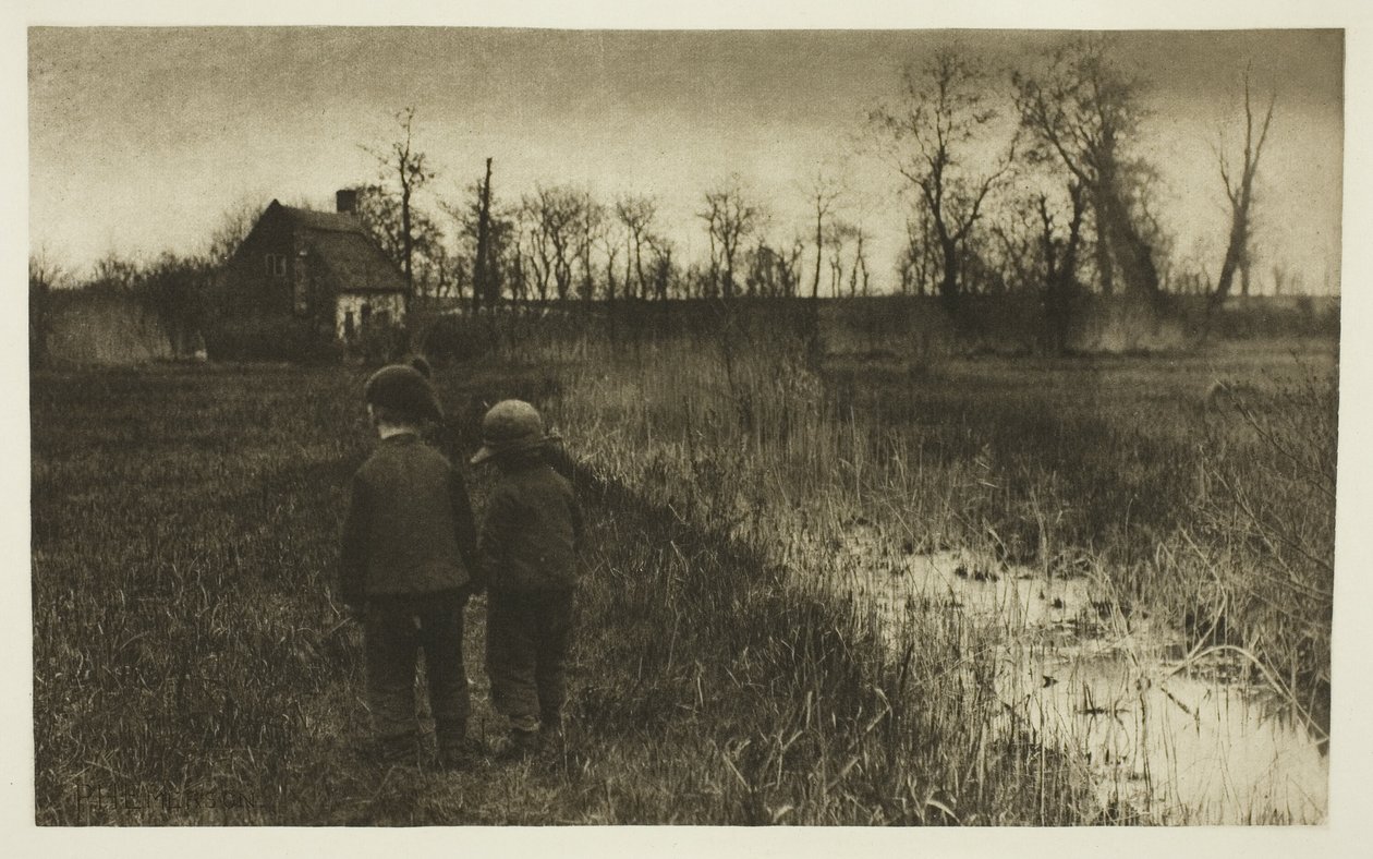 Eine Kröte auf dem Weg: Früher Frühling in Norfolk von Peter Henry Emerson