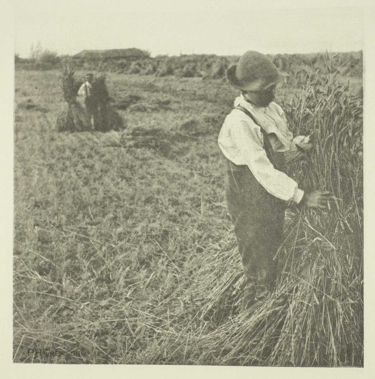 Schockierender Mais (Norfolk) von Peter Henry Emerson