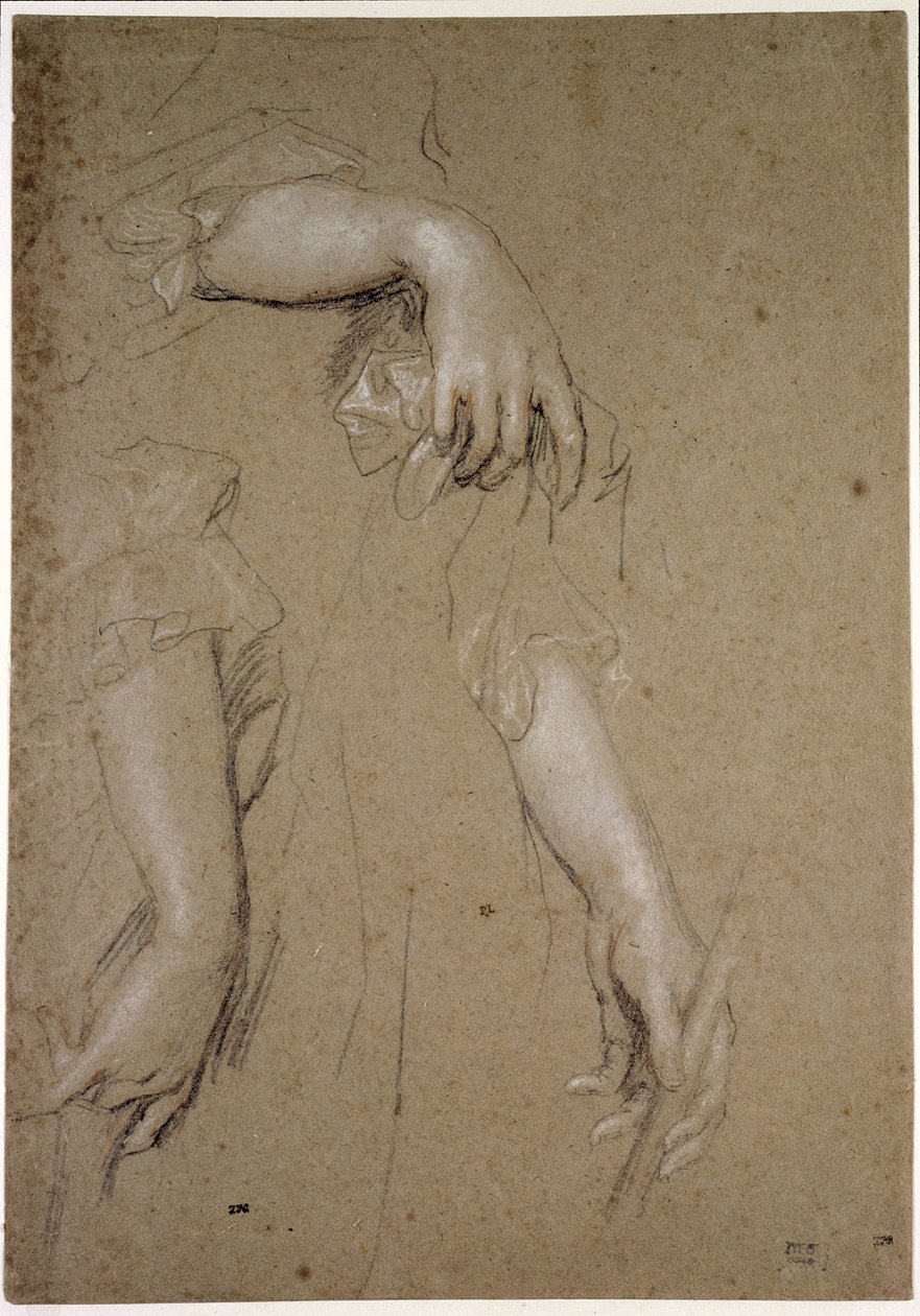 Studien von Händen, 17. Jahrhundert von Peter Lely