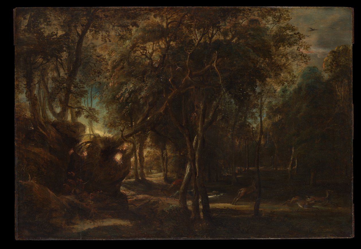 Ein Wald im Morgengrauen mit einer Hirschjagd von Peter Paul Rubens