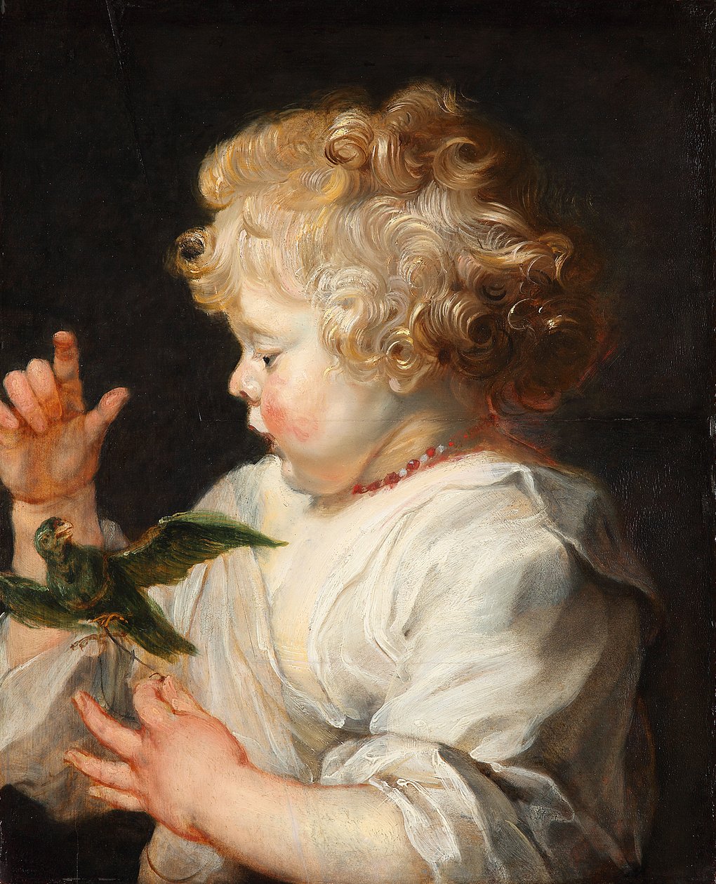 Porträt eines Kindes mit Vogel von Peter Paul Rubens