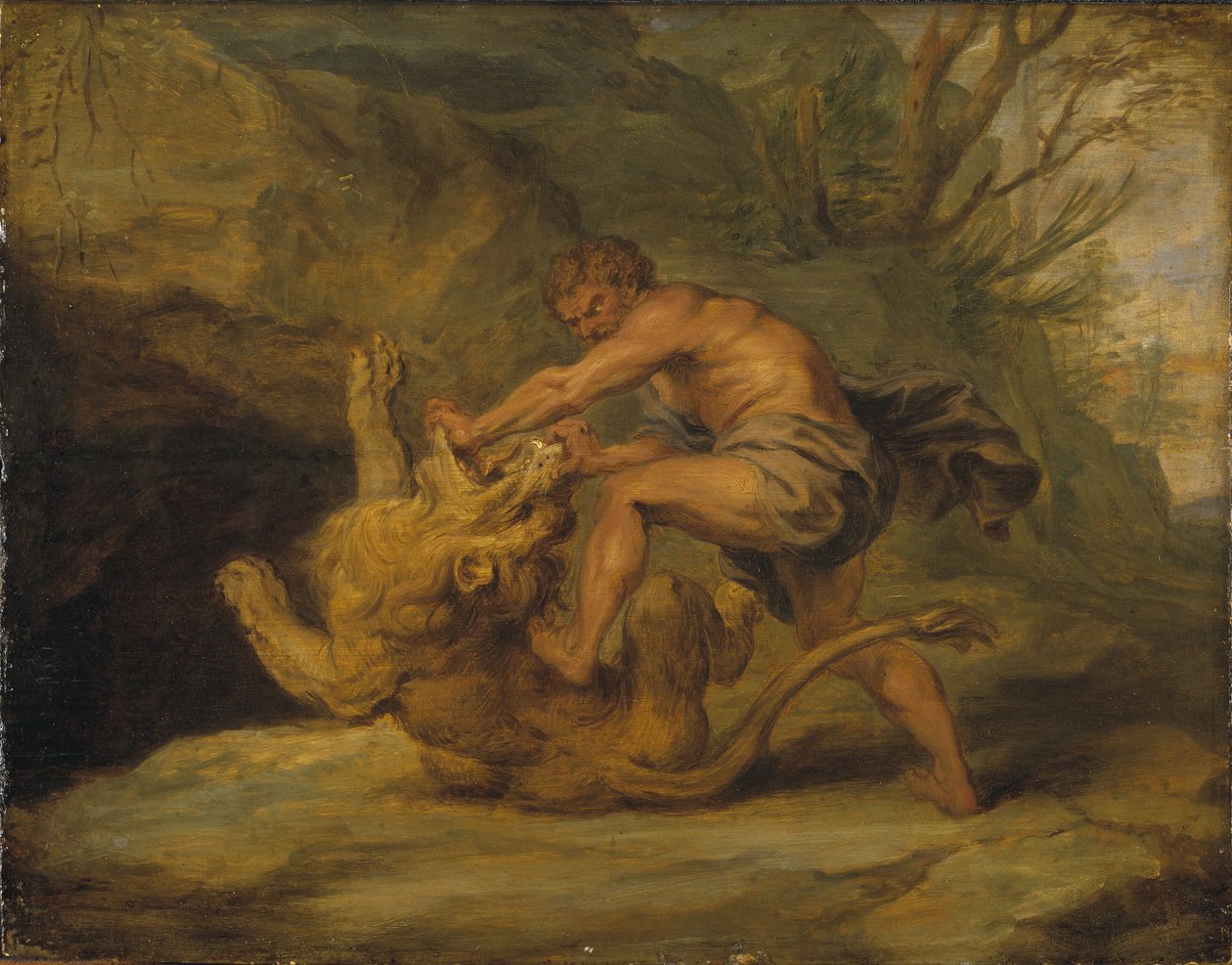 Samson und der Löwe. Studie von Peter Paul Rubens