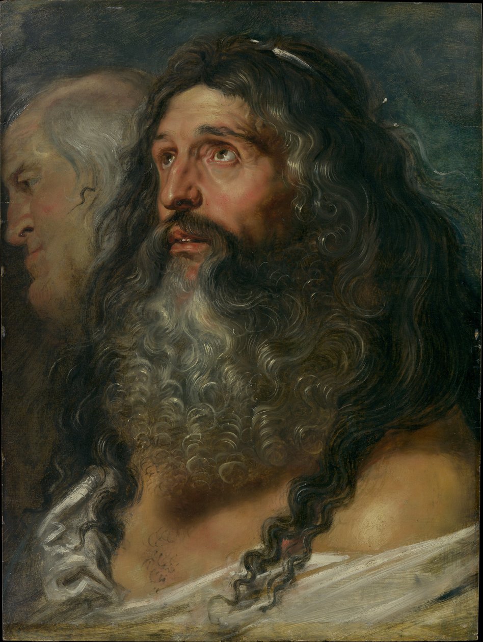 Studie zweier Köpfe von Peter Paul Rubens