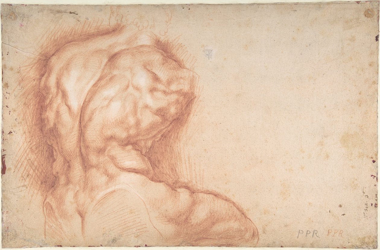 Die von Heiligen verehrte Jungfrau (Vorderseite); Studie des Torso vom Belvedere (Rückseite) von Peter Paul Rubens