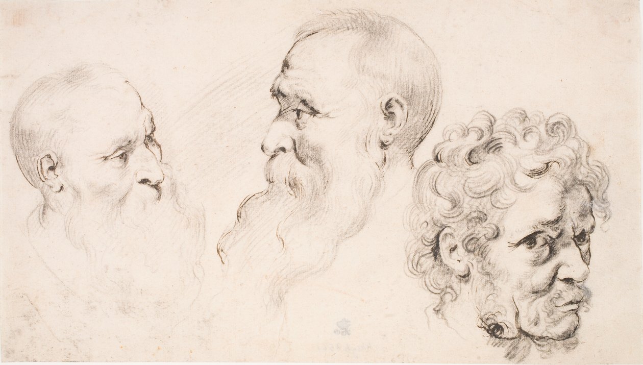 Drei Männerköpfe von Peter Paul Rubens