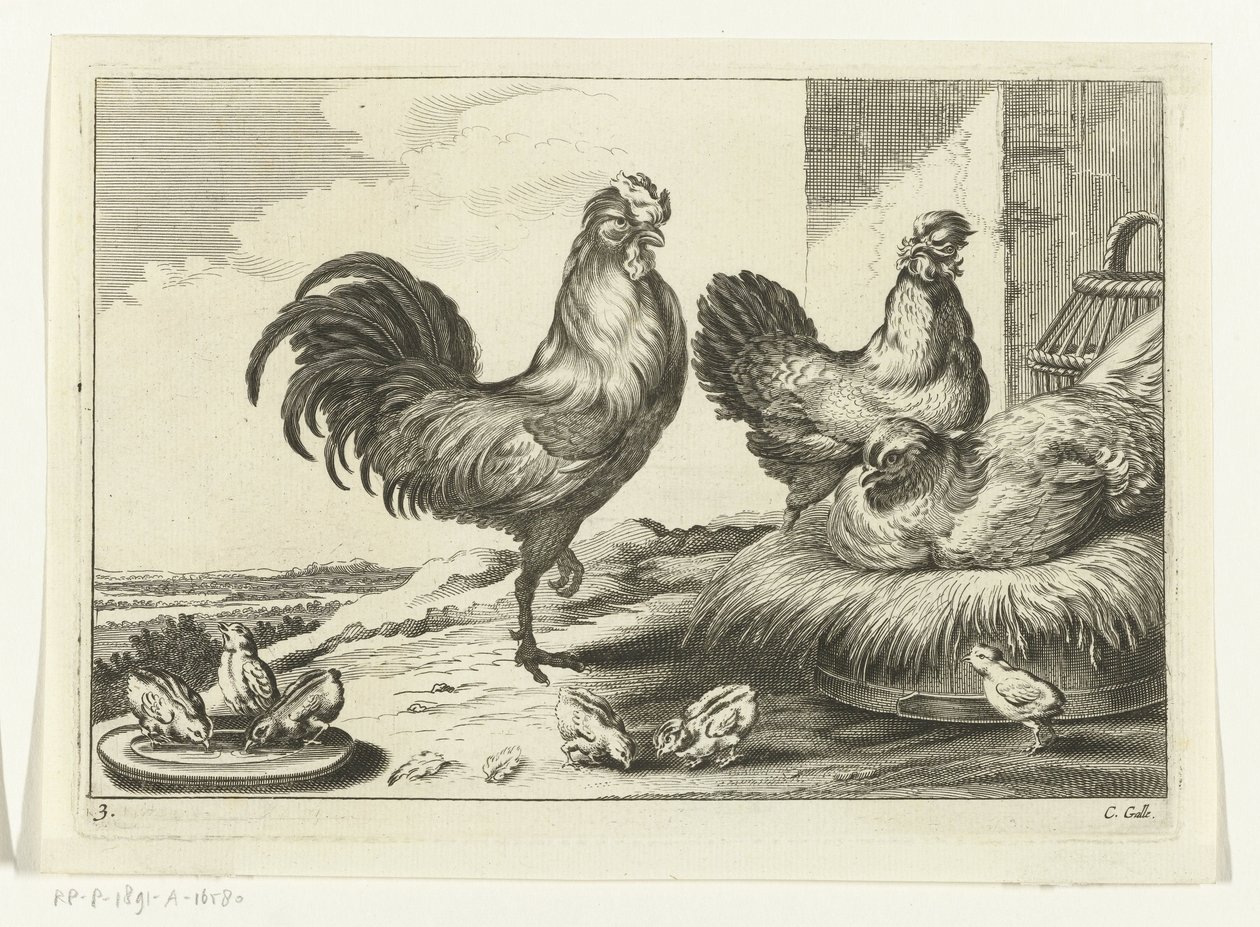 Huhn, Hähne und Küken von Peter van Liesebetten