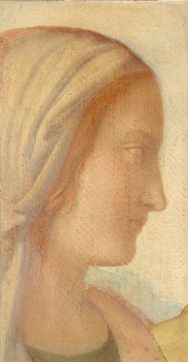 Mädchenprofil von Philipp Veit