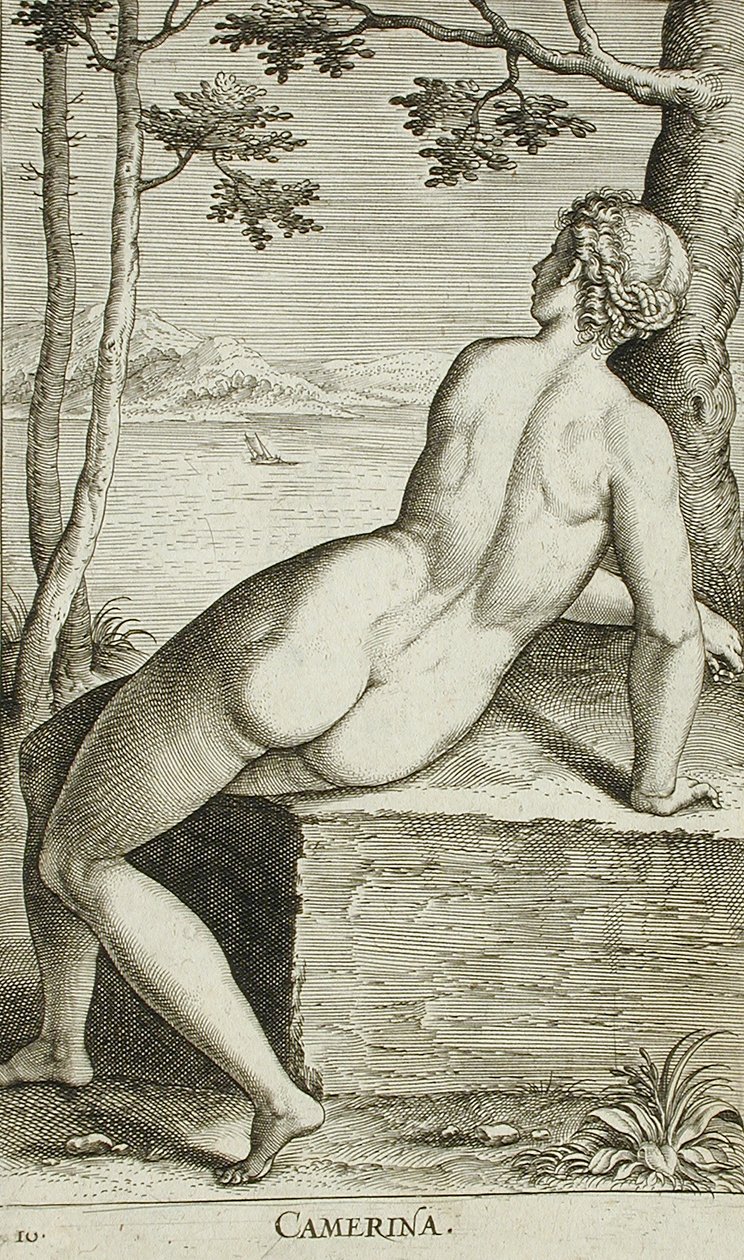Camerina von Philips Galle