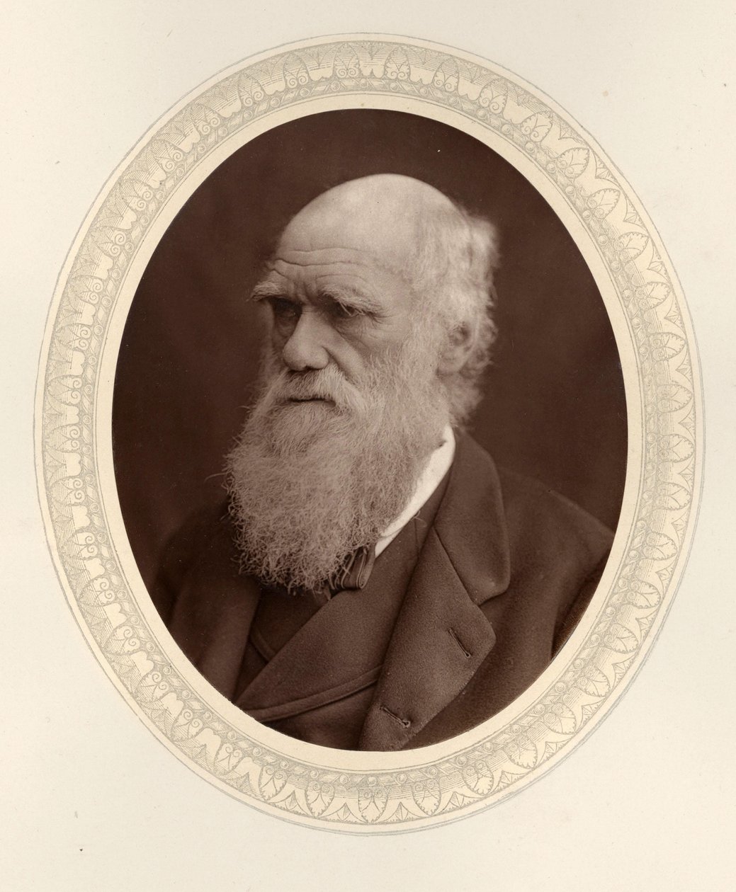 Porträt von Charles Darwin 1809-1882, 1877 von Photo studio Lock and Whitfield