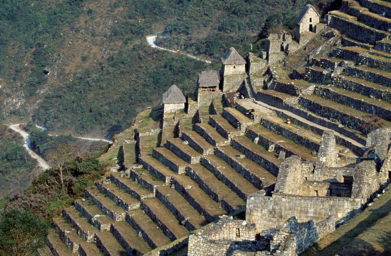 Terrassen, Machu Picchu (UNESCO-Welterbeliste) von Blaise Nicolas Le Sueur