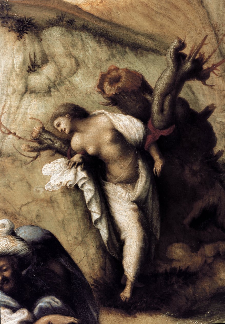 Andromeda befreit durch Perseus (Detail) von Piero di Cosimo